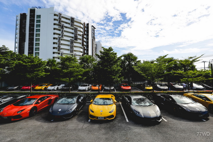 Iamcar_Lamborghini Bulls2